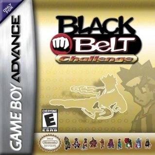 Black Belt Challenge cover