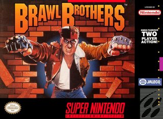 Brawl Brothers cover
